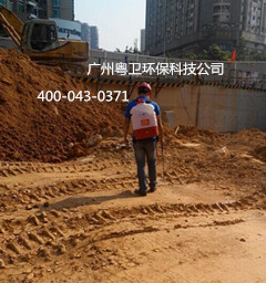 廣州預(yù)防白蟻專業(yè)公司 廣州預(yù)防白蟻專業(yè)公司